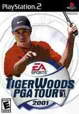 Tiger Woods 2001