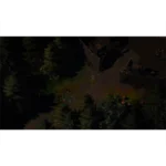 Nighttime park scene with trees, a wooden fence, and playground equipment visible along a dirt path in low light.