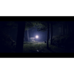 61it48UmnkL_SL1500___588491781729002 - Video Game Depot Dark forest at night with a bright glowing orb/light source in the distance among trees and misty ground cover.