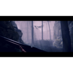 71f2N7_mzCL_SL1500___217111781729013 - Video Game Depot First-person view with a rifle in a misty forest, tall trees and rocky walls on both sides ahead.