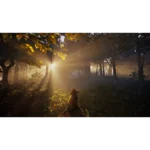 814737022729_03__654971786998579 - Video Game Depot Sunbeams filter through a misty forest as a small brown dog sits on a log in the foreground.