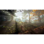 814737022729_11__952511786998579 - Video Game Depot Small brown rodent sitting on a rock in a sunlit forest clearing, sunbeams filtering through trees.