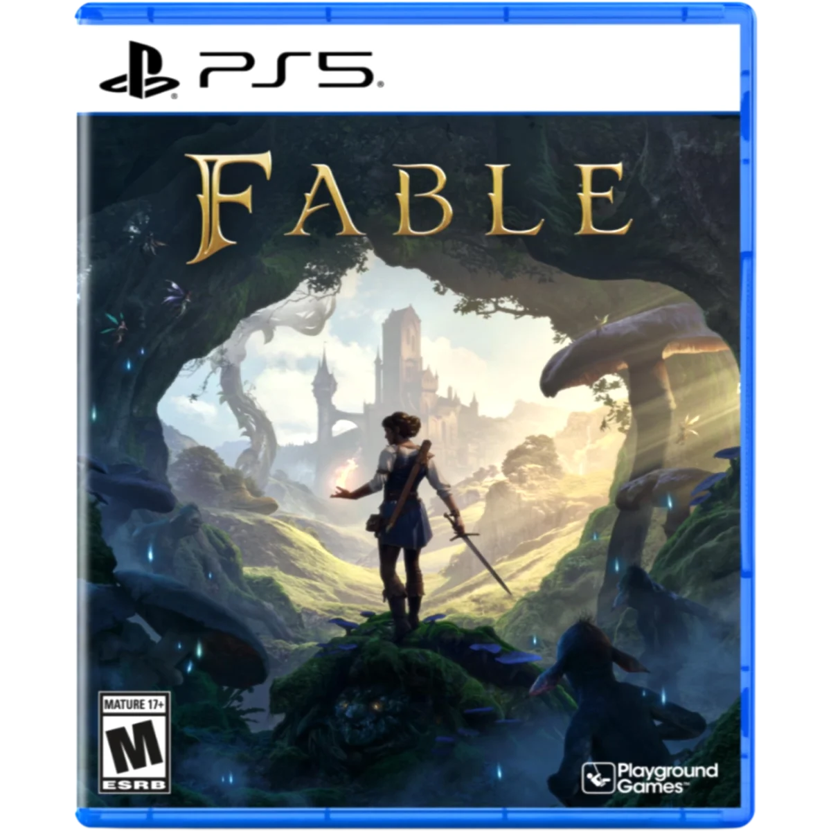 Fable: Standard Edition for PlayStation 5 - 196388866885